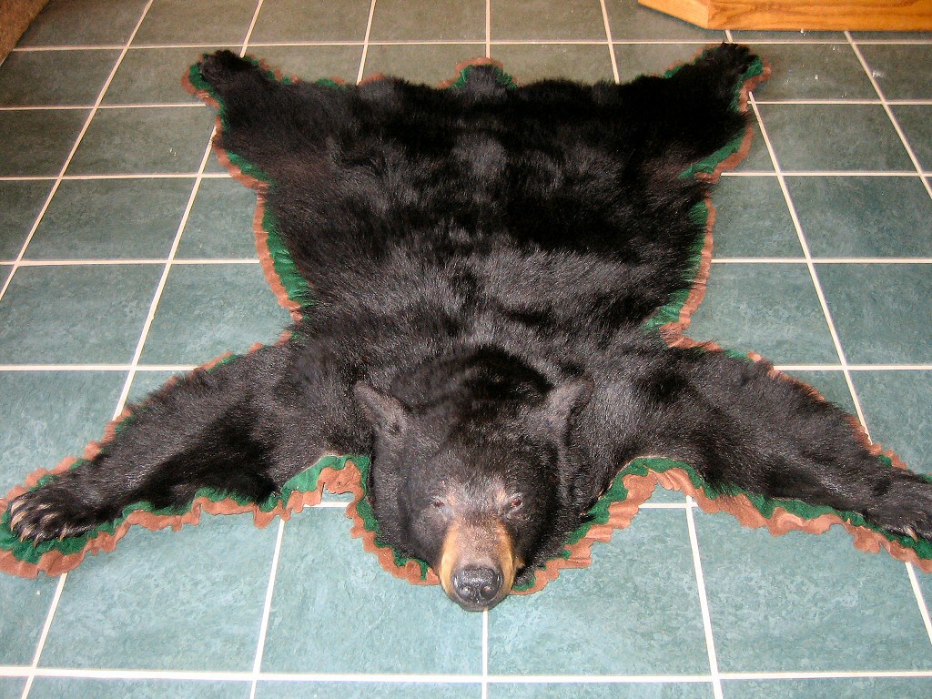 Bear Skins Skin Rugs Grizzly