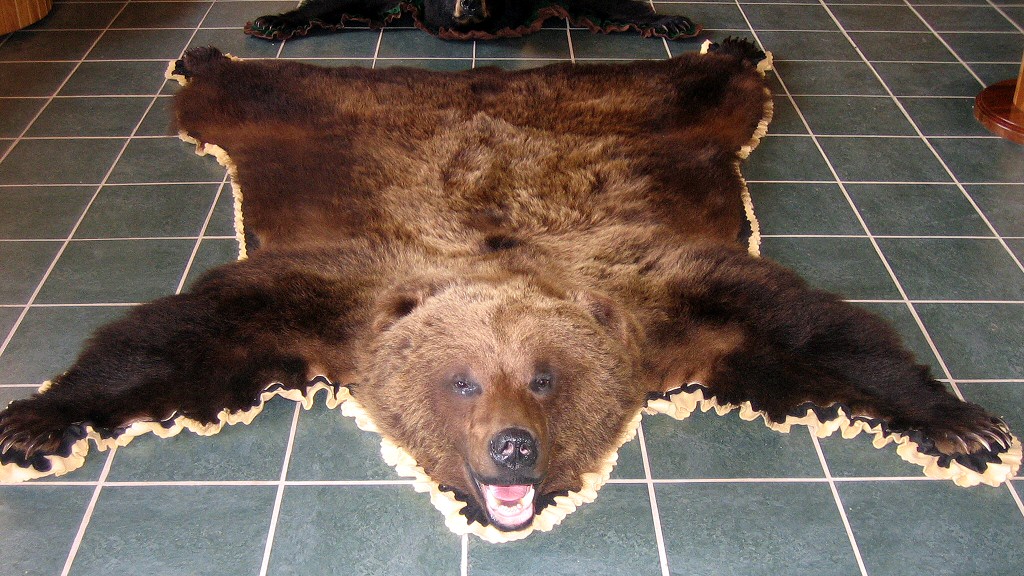 Bear Skins Skin Rugs Grizzly, How Much Do Bear Rugs Cost