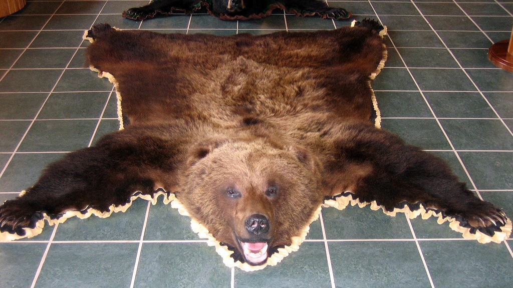 Bear Skins Skin Rugs Grizzly