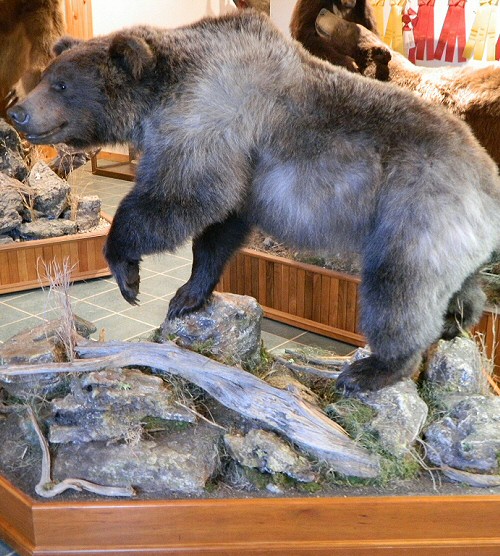 Silver Grizzly Bear Mount