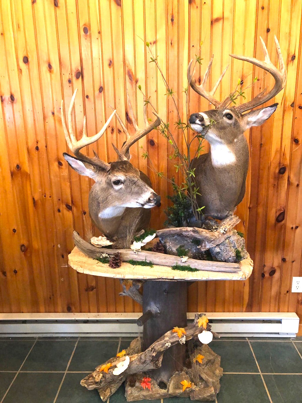 Deer Taxidermy Mounts PA - Deer Pedestal Mounts at Brown Bear Taxidermy Studio - Pennsylvania Deer Taxidermy Mounts