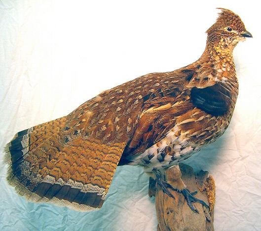 Grouse Mount